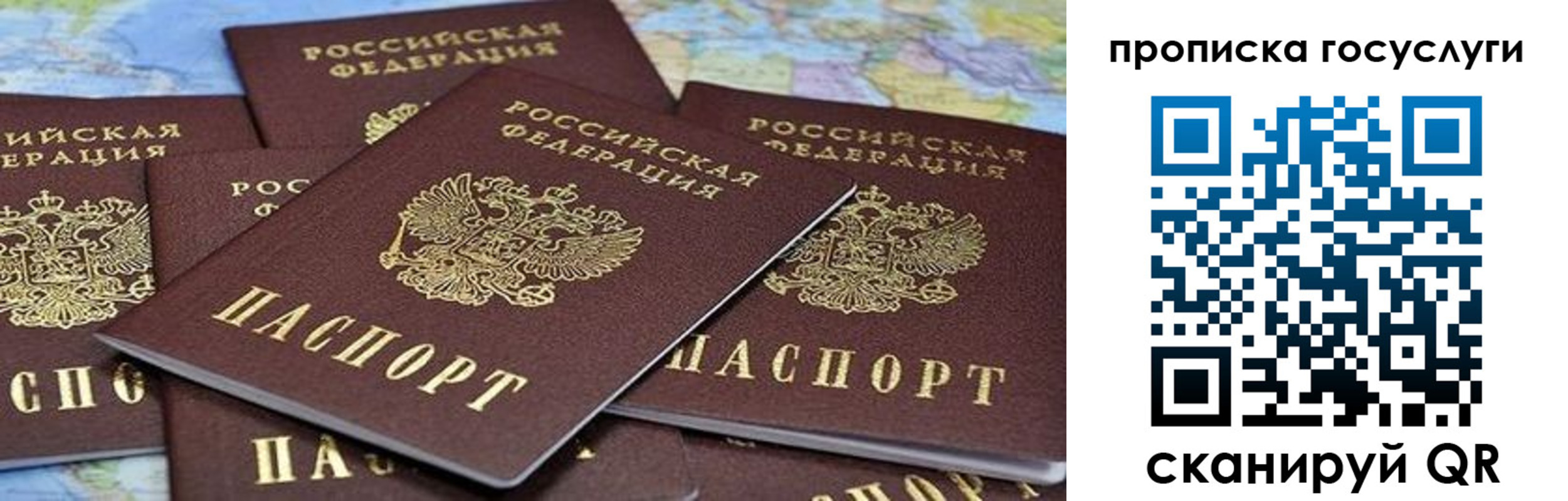 пропишу в квартире в Новосибирской области